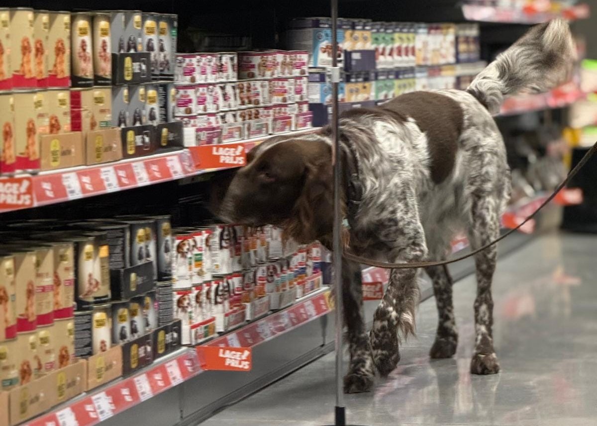 Hond speurt tussen de schappen